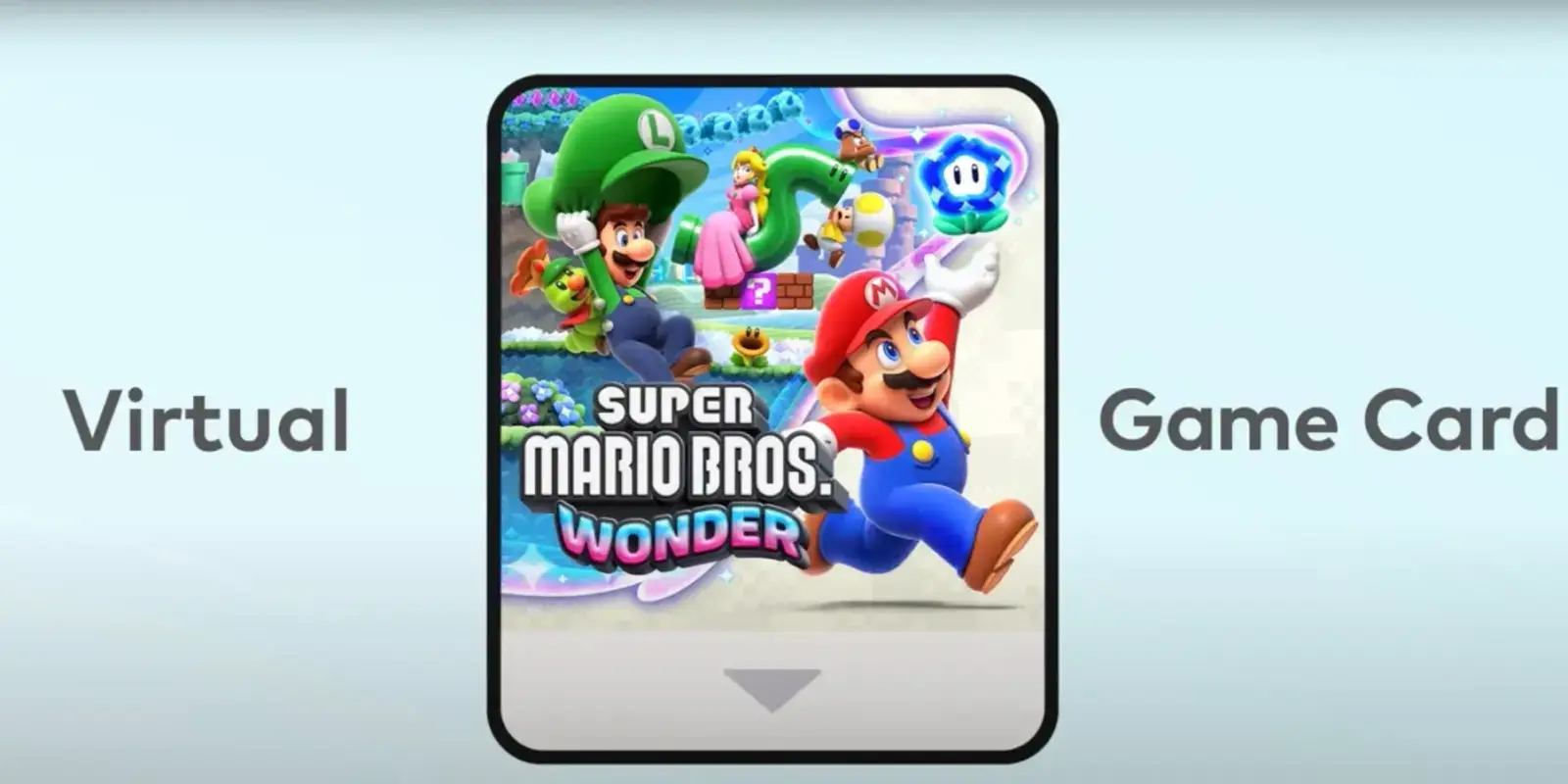 Nintendo